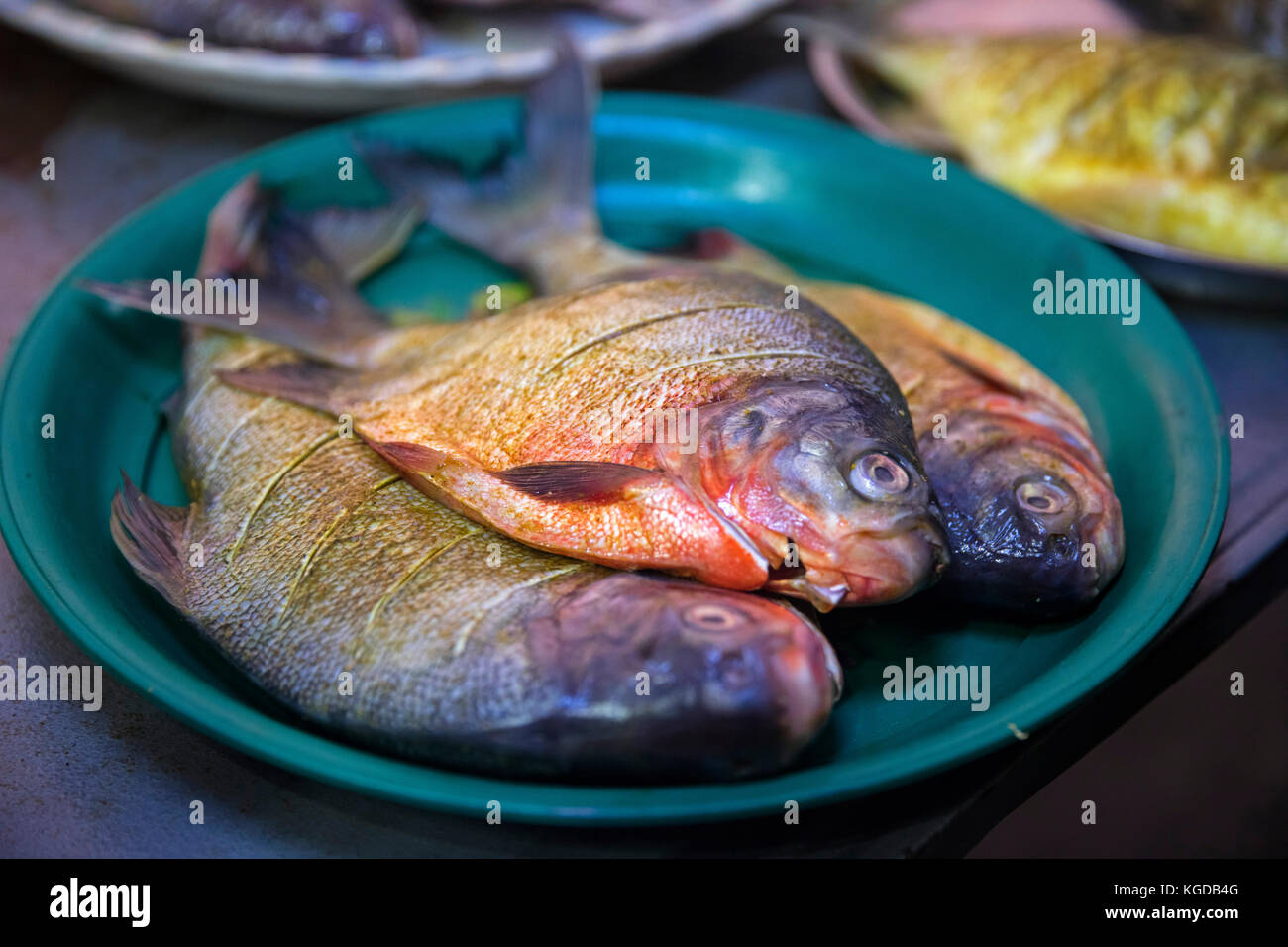 Frische Fische am Markt in mawlamyine/mawlamyaing, Mon, Myanmar/Birma Stockfoto
