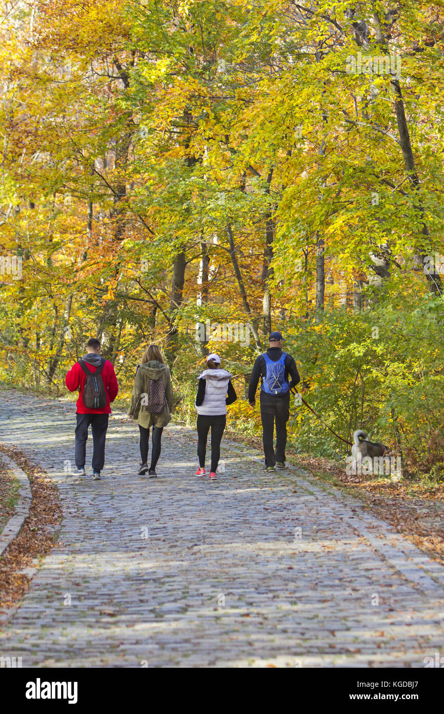 Zwei junge Paare mit Hund, Wandern in einem Park im Herbst Wald Stockfoto