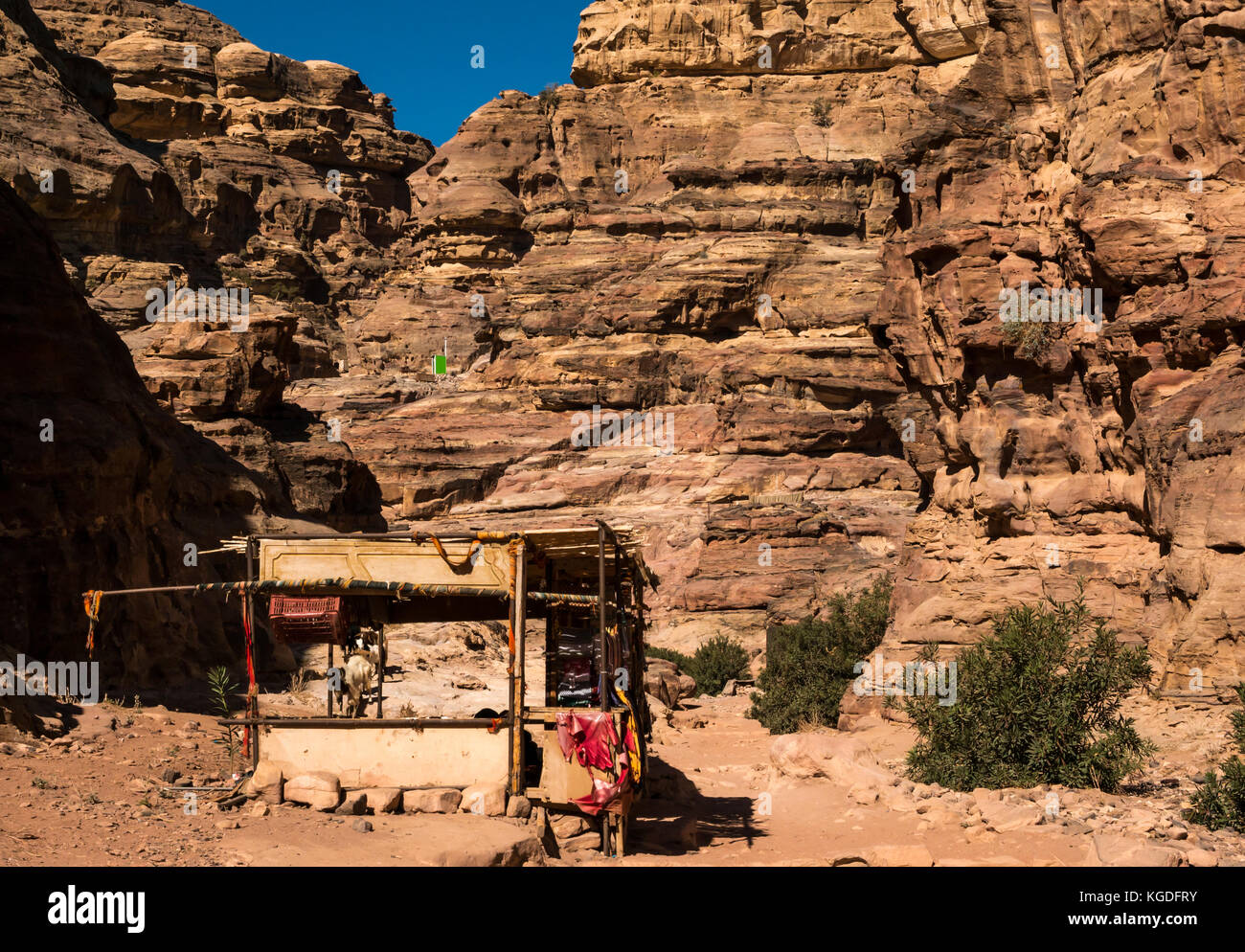 Souvenir stall und Ziegen auf den Berg zu Fuß weg zu Ad Deir, das Kloster, Petra, Jordanien, Naher Osten Stockfoto