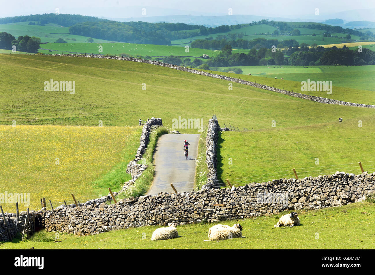 Radfahrer mit dem Fahrrad in den Yorkshire Dales Landschaft uk Stockfoto