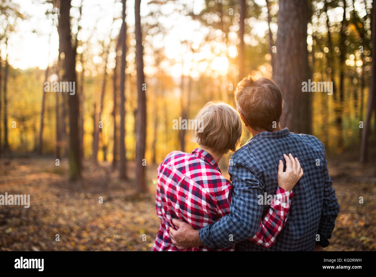 Senior Paar auf einem Spaziergang im Wald. Stockfoto