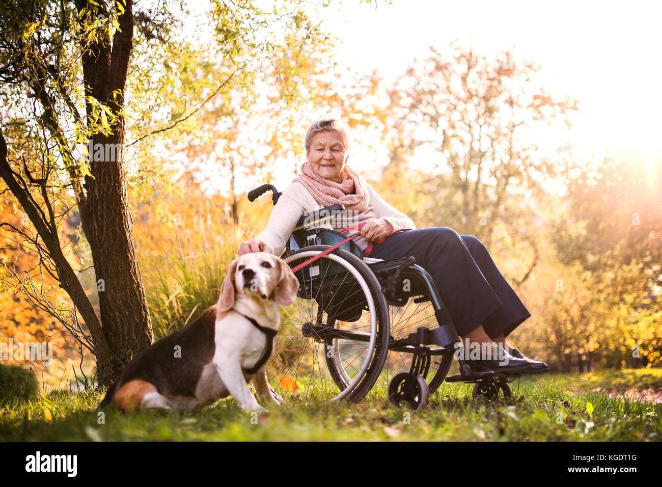 Eine ältere Frau im Rollstuhl mit Hund im Herbst Natur. Stockfoto