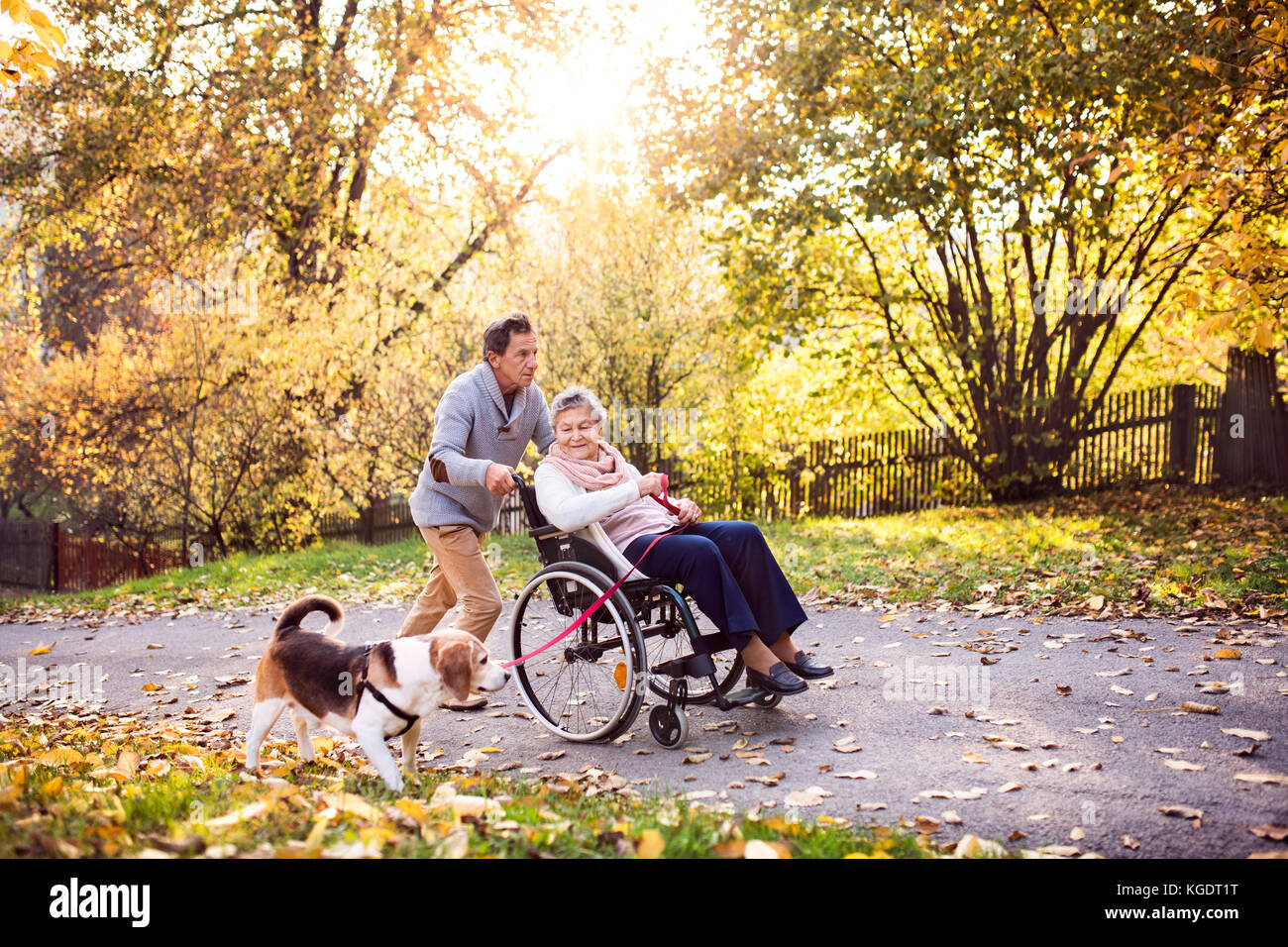 Älterer Mann, Frau im Rollstuhl und Hund im Herbst Natur. Stockfoto