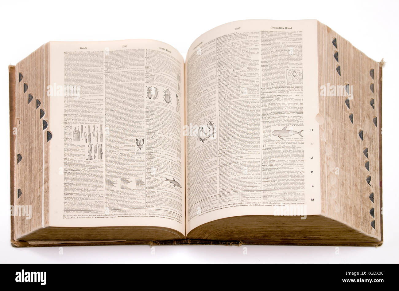 Webster's New International Dictionary der Englischen zweiten Edition ungekürzte Fassung gedruckt 1955 öffnen, auf weißem Hintergrund Stockfoto