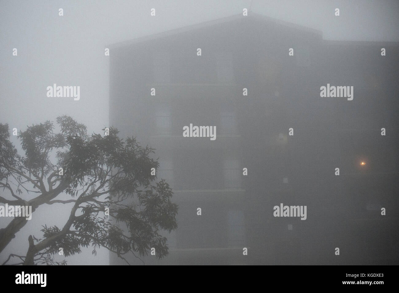 Früh morgens Nebel auf Mt Buller in Victoria, Australien Stockfoto