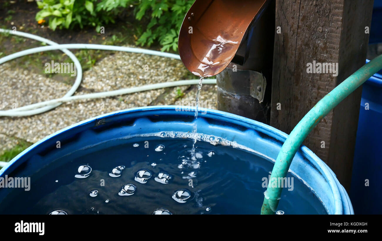 Regenwasser ist Streaming in den Zylinder in den Garten. Stockfoto