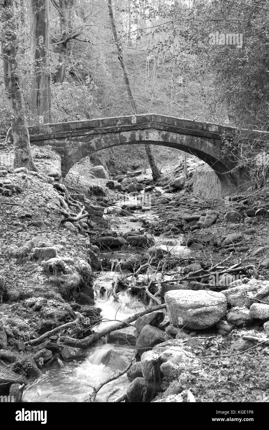 Sheffield, UK-Jan 2015: Tinker Bach läuft unter einem packesel Brücke, eine Fußgängerbrücke in Glen Howe Park am 18 Jan 2015 in der Nähe von Wharncliffe Seite Stockfoto