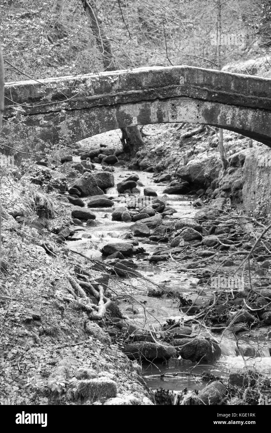 Sheffield, UK-Jan 2015: Tinker Bach läuft unter einem packesel Brücke, eine Fußgängerbrücke in Glen Howe Park am 18 Jan 2015 in der Nähe von Wharncliffe Seite Stockfoto