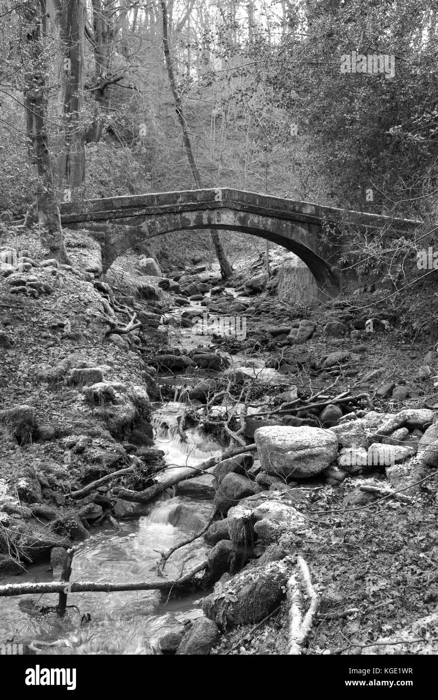 Sheffield, UK-Jan 2015: Tinker Bach läuft unter einem packesel Brücke, eine Fußgängerbrücke in Glen Howe Park am 18 Jan 2015 in der Nähe von Wharncliffe Seite Stockfoto