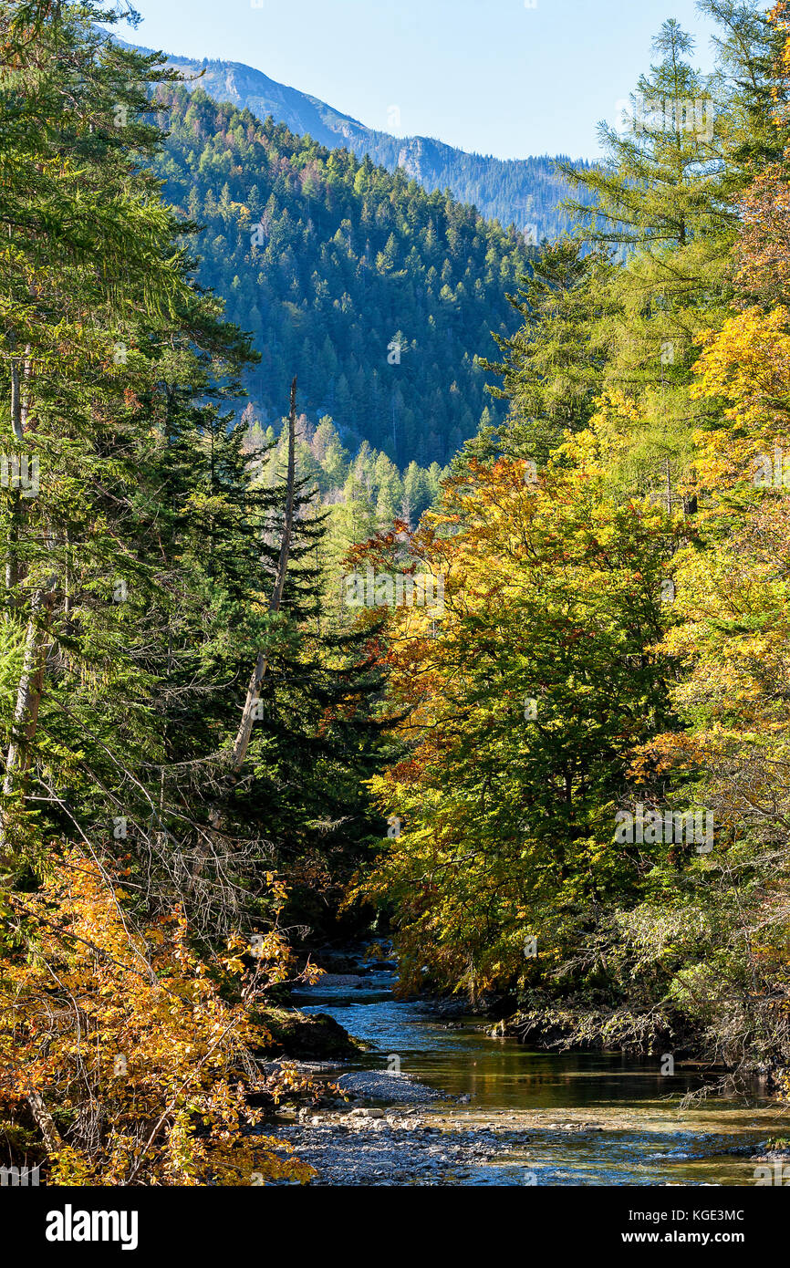 Es ist ein kleine Bucht namens Biela in Hohe Tatra, Slowakei mit Bergen im Hintergrund. Bunte Blätter an den Bäumen im Herbst Saison. Stockfoto