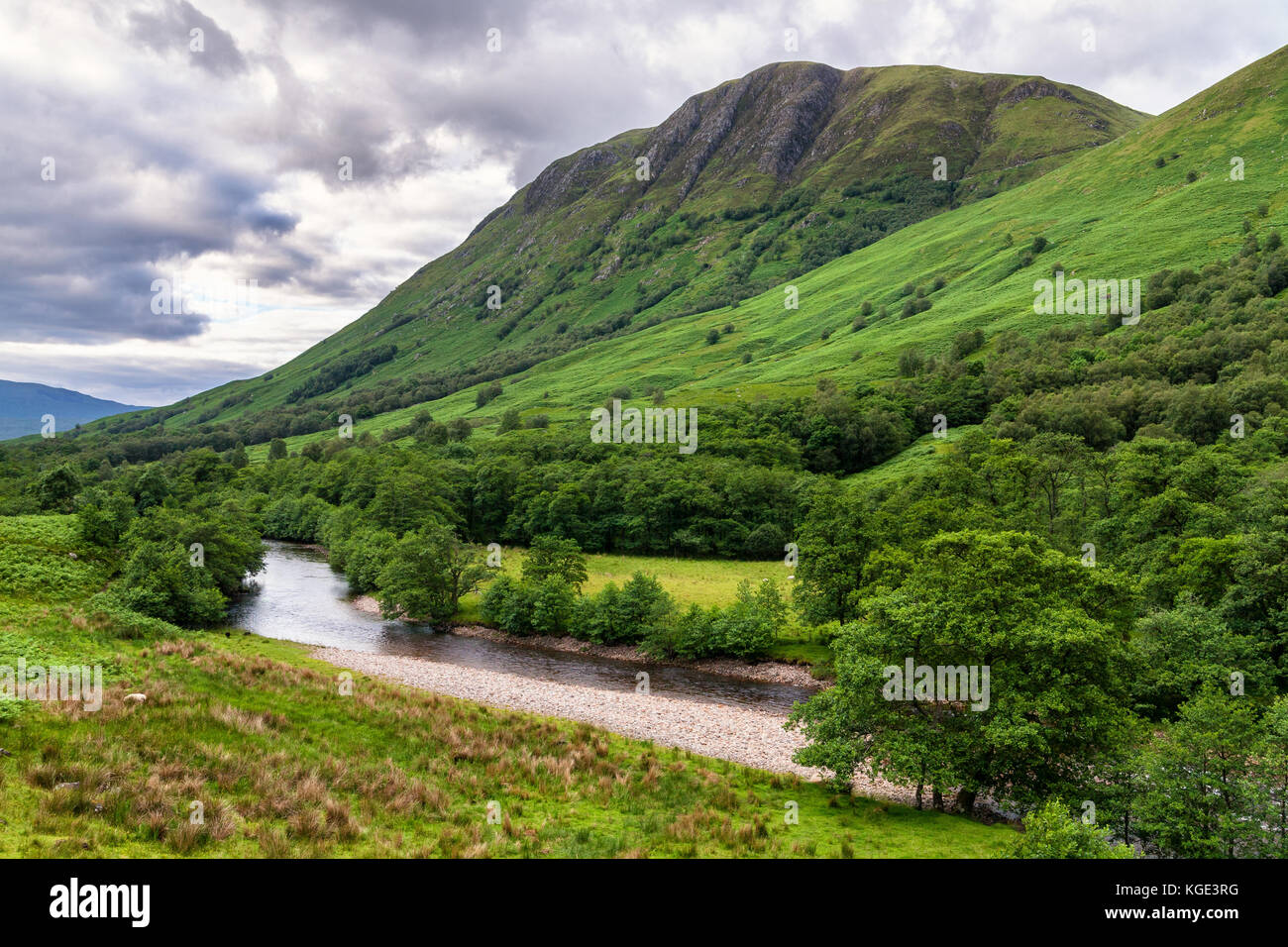 Berge und den Fluss im Glen Nevis Tal, Schottland, Vereinigtes Königreich. Grüne schottische Landschaft an bewölkten Sommertag. Stockfoto