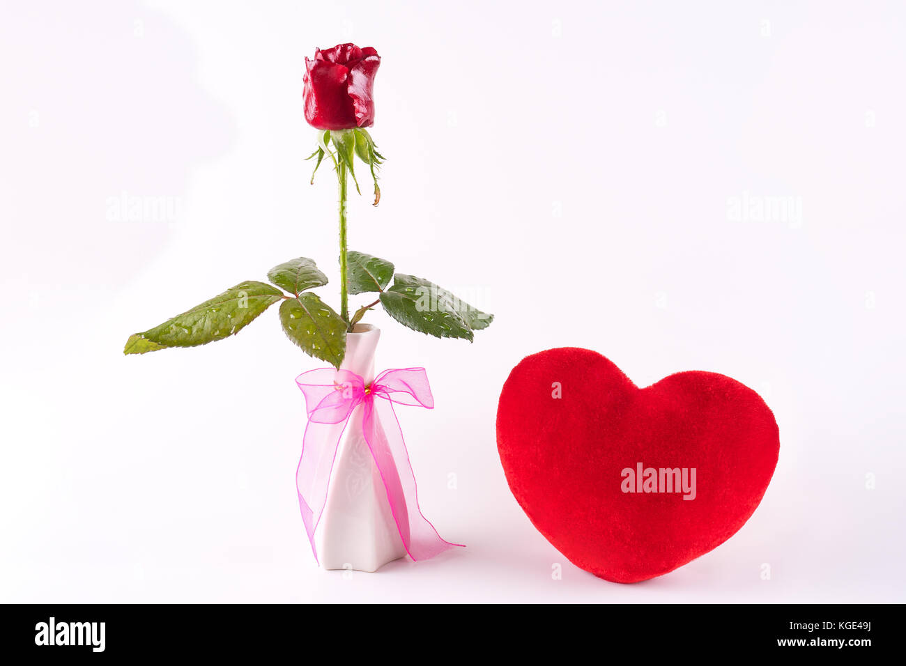 Auf einem weißen Hintergrund in eine Vase mit Rosen isoliert, Geschenk Stockfoto