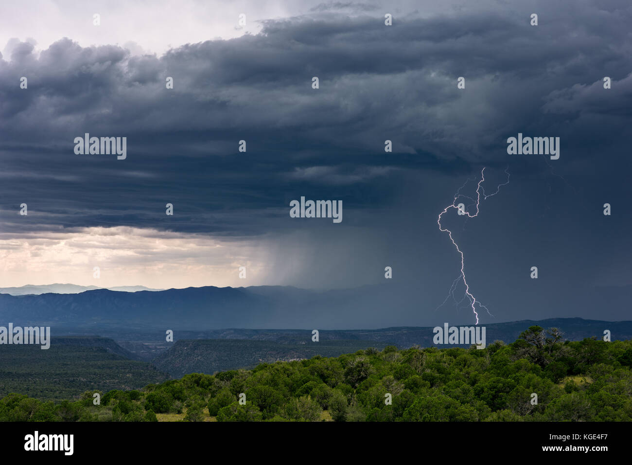 Regen fällt von einem Gewitter mit Blitzeinschlag und dunklen Gewitterwolken Stockfoto