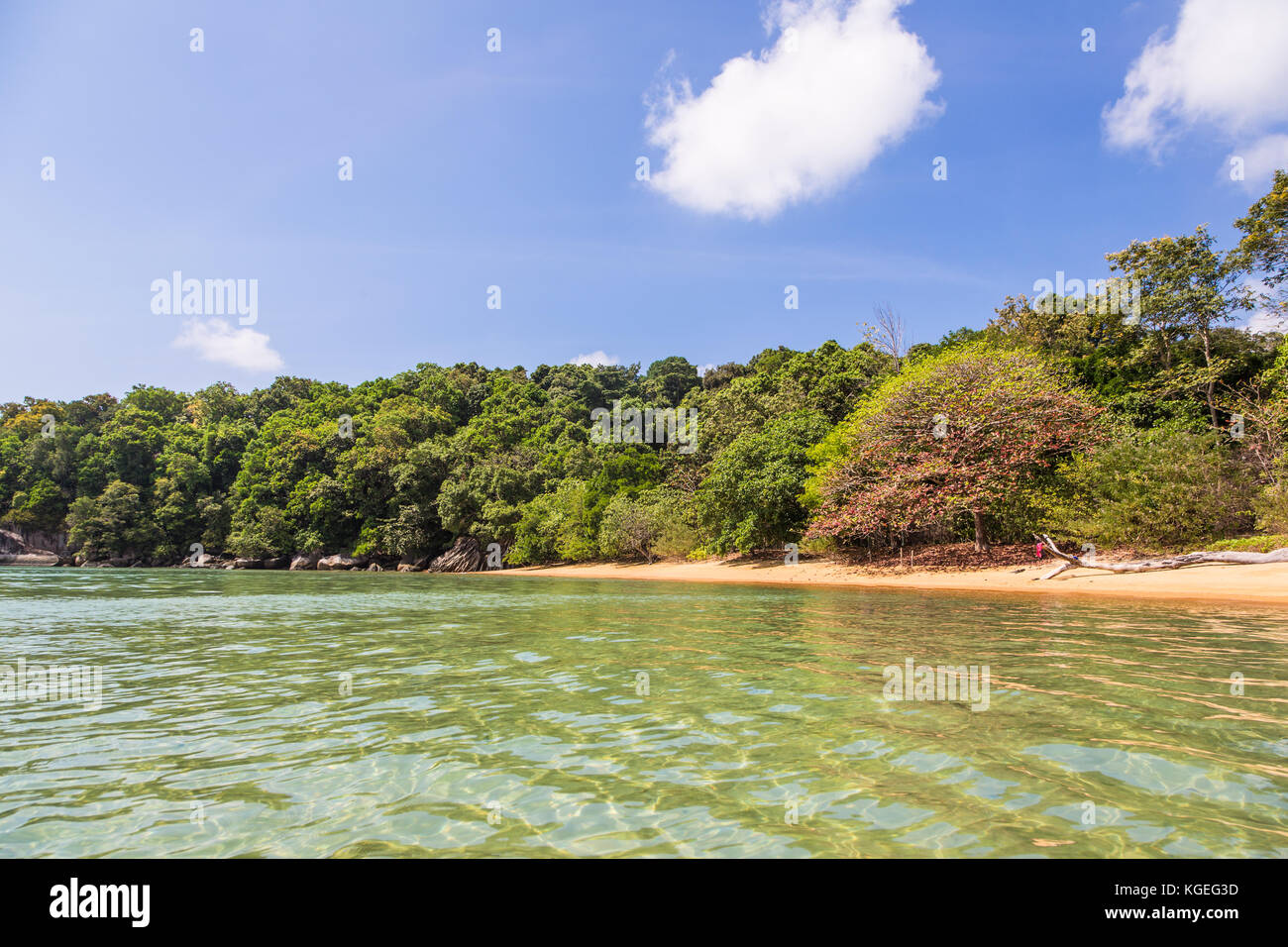 Idyllisch leeren Strand in Tioman Insel im Südchinesischen Meer in Malaysia an einem sonnigen Tag in Südostasien. Stockfoto