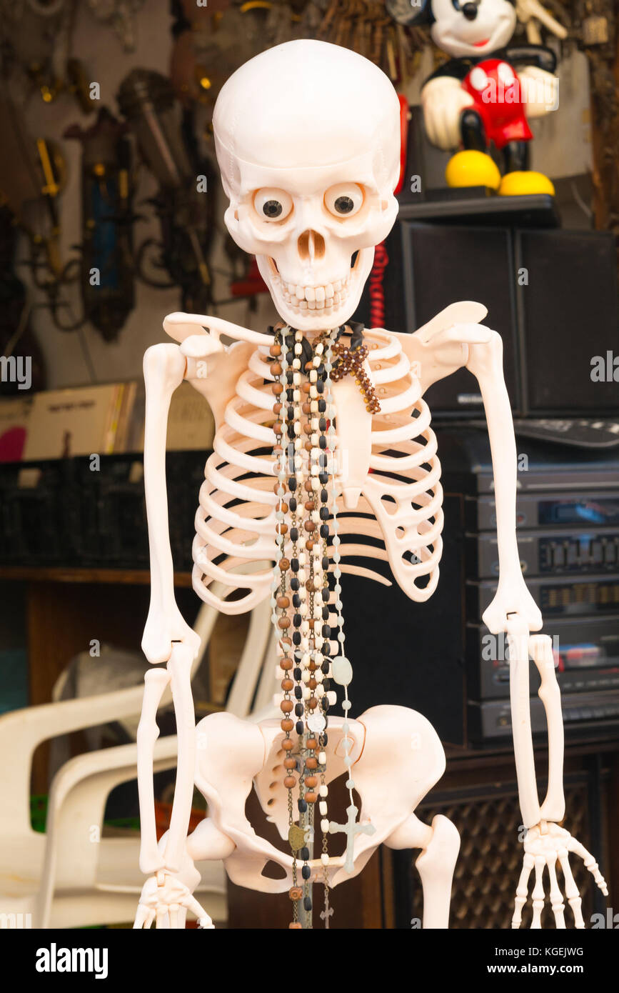 Israel das Heilige Land Tel Aviv Jaffa Jaffa Old Market traditionelle collectibles Kunststoff lächelnd Abbildung menschlichen Skeletts collectibles shop shop Markt Souk Stockfoto