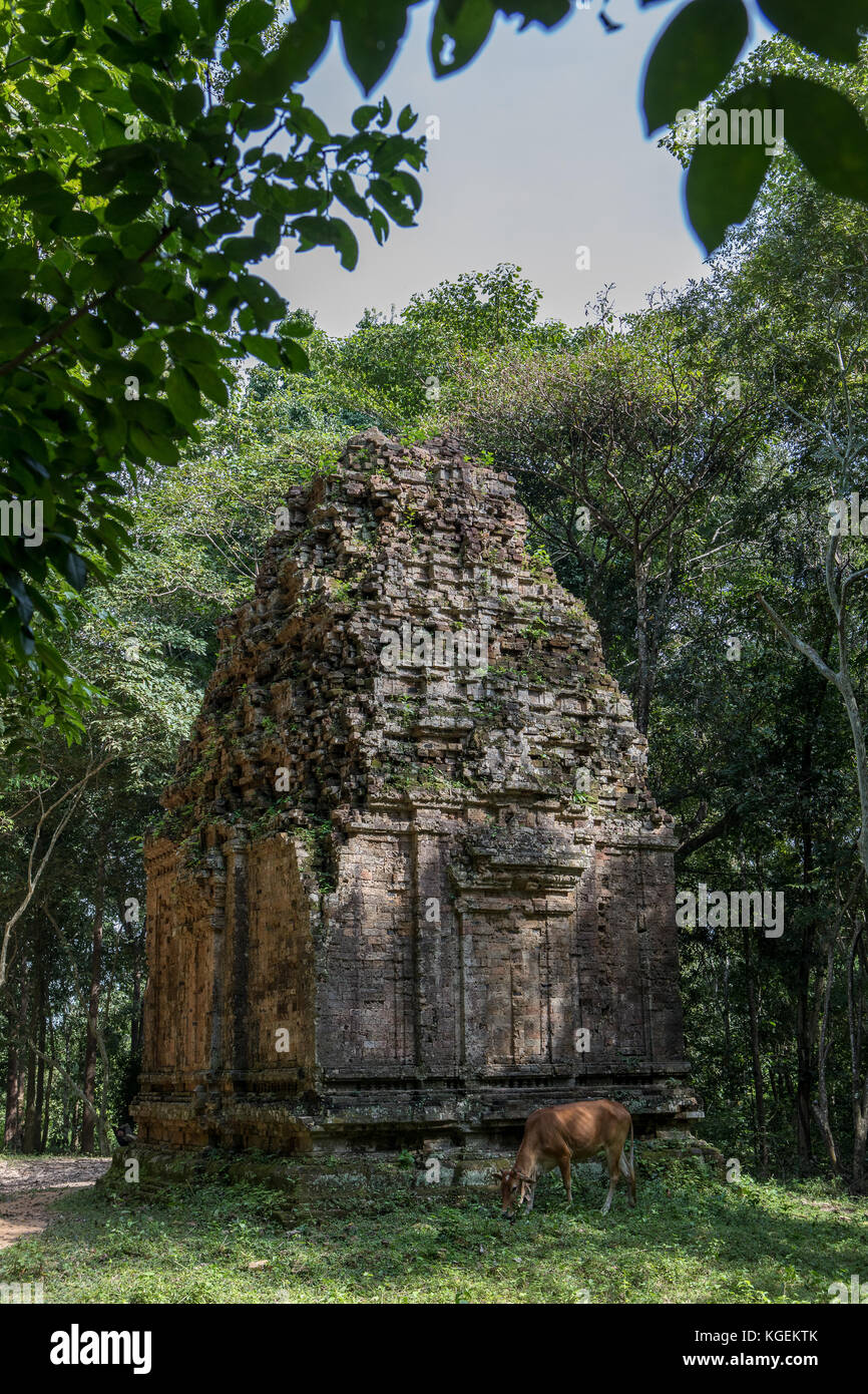Sambor KUK, ein UNESCO-Weltkulturerbe in Kambodscha. Fesseln Sie Ihr Publikum mit atemberaubenden Fotos der aufwendig geschnitzten Tempel Stockfoto