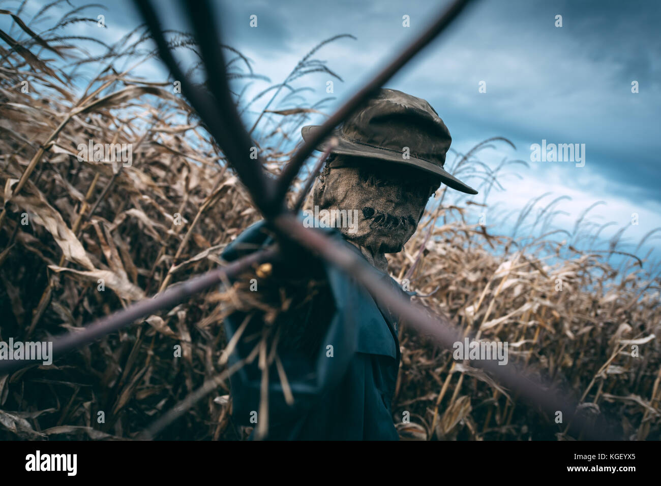 Beängstigend Vogelscheuche in einen Hut Stockfoto