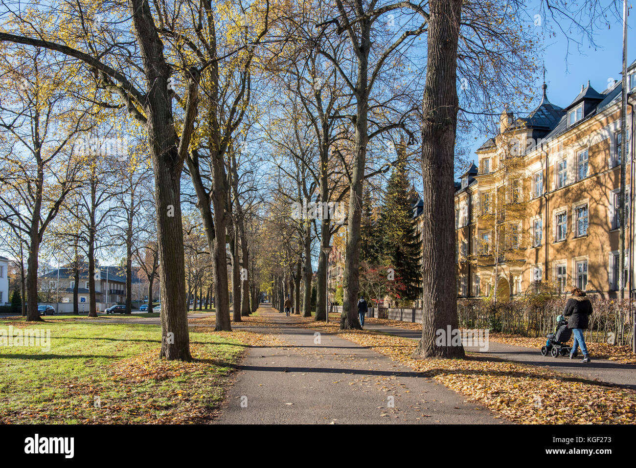 Die Südpromenade in Norrkoping. Norrkoping ist eine historische Industriestadt und die Boulevards in Paris inspirierten das Design der Promenaden Stockfoto