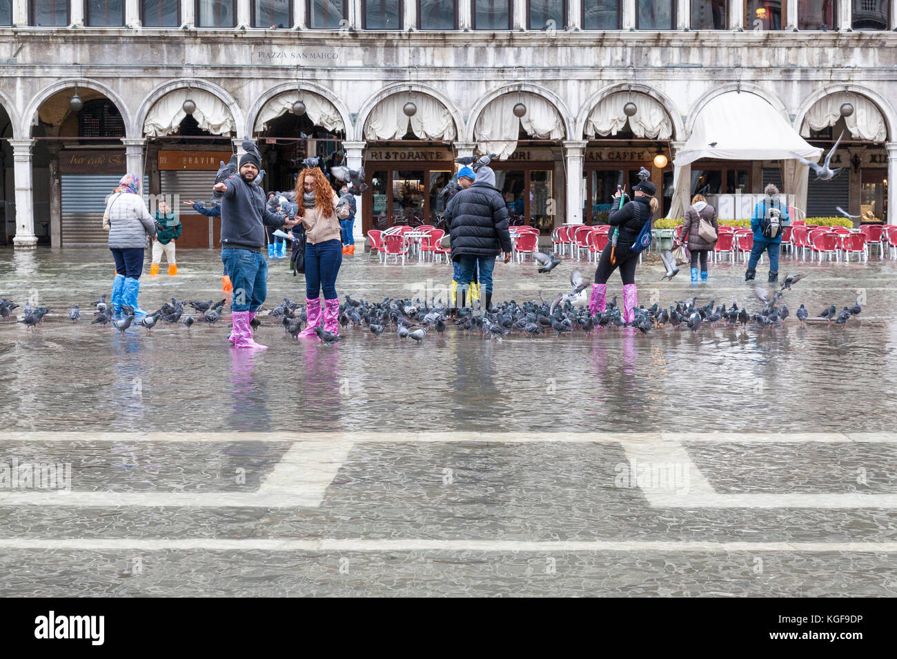 Venedig, Venetien, Italien. 7 Nov, 2017. Acqua Alta Flut von 115 cm von der Lagune verursacht temporäre Überflutungen in der Piazza San Marco. Passarelle oder erhöhte Gehwege, sind für den Fußgängerverkehr installiert. Gruppe von Touristen spielen mit den Tauben im Wasser als der Gezeiten liegender. Credit: Mary Clarke/Alamy leben Nachrichten Stockfoto