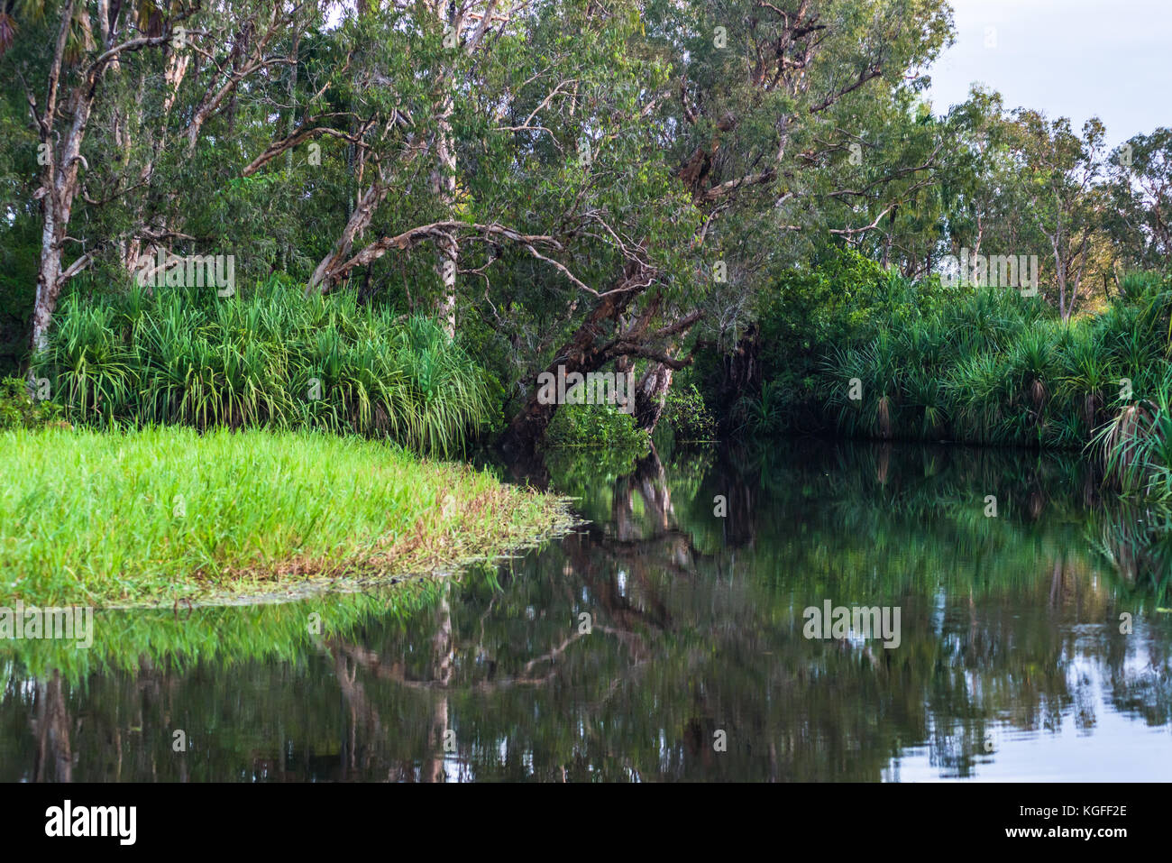 Überschwemmten Feuchtgebieten während der nassen Jahreszeit, Kakadu National Park, Northern Territory, Australien. Stockfoto