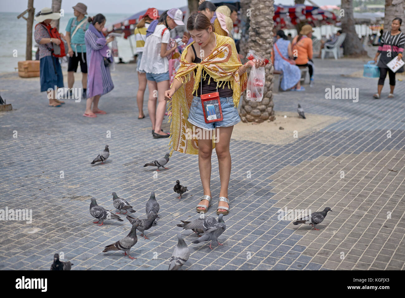 Frau füttern Tauben. Pattaya, Thailand, Südostasien Stockfoto