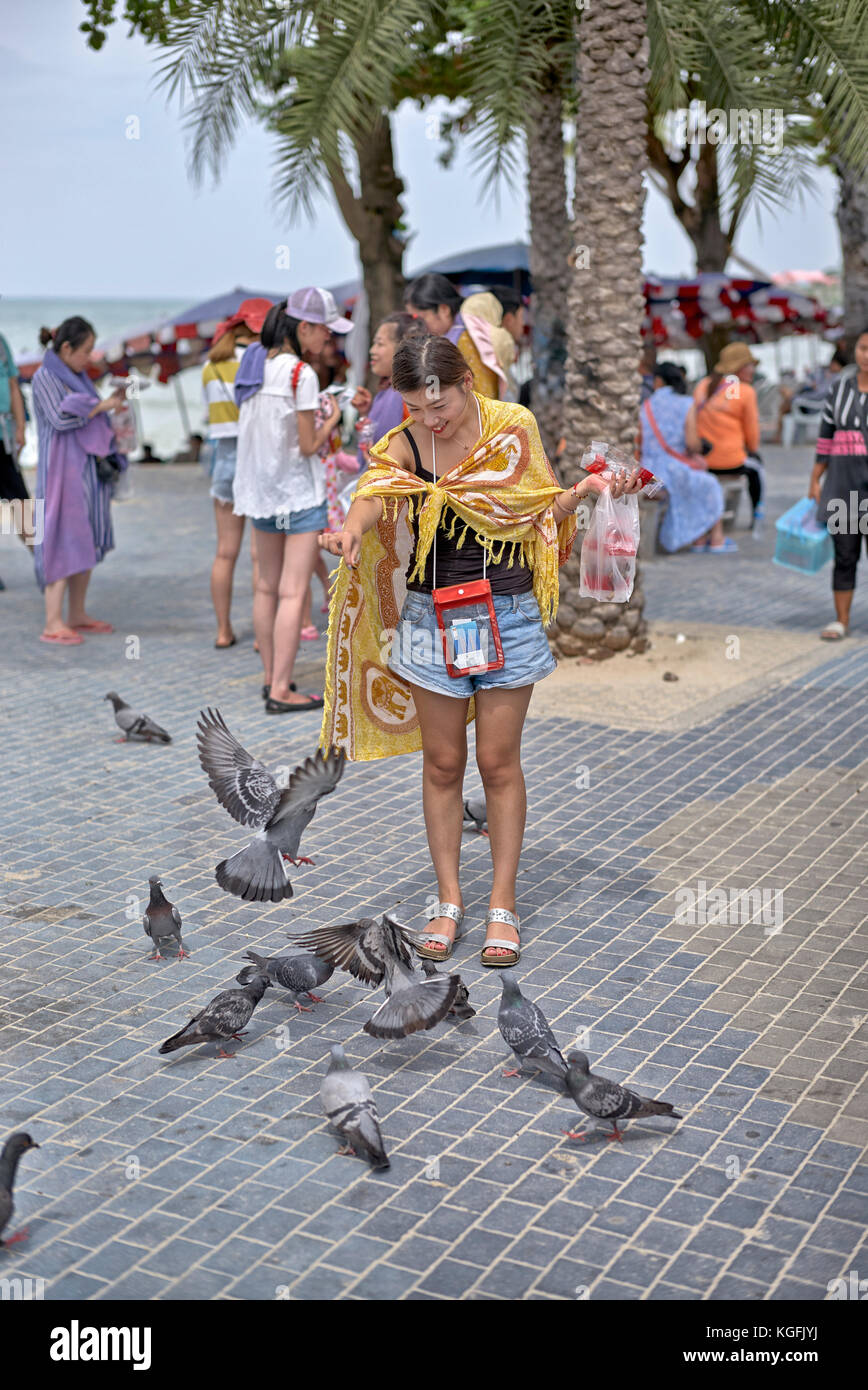 Frau füttern Tauben. Pattaya, Thailand, Südostasien Stockfoto