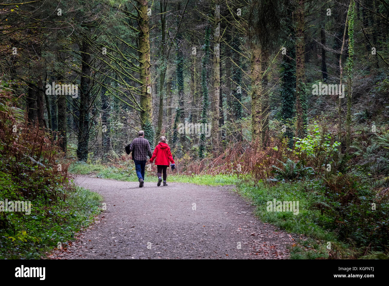 Ein Paar Wanderer, die auf einem Weg durch die Cardinham Woods in Bodmin Cornwall laufen. Stockfoto