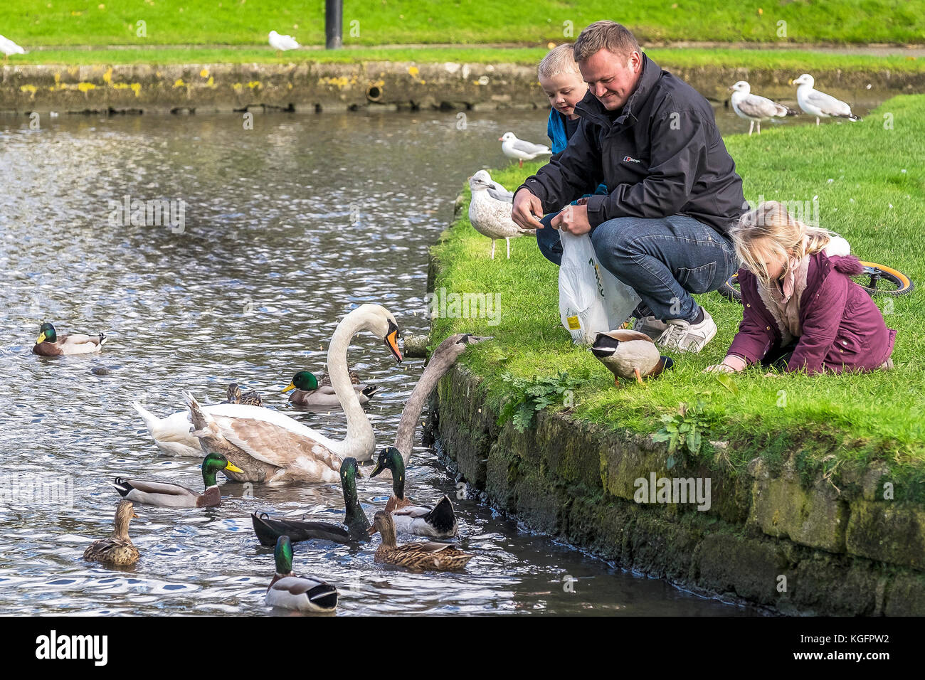 Ein erwachsener Vater und Kinder Familie Menschen Fütterung Schwäne Enten auf einem See. Stockfoto