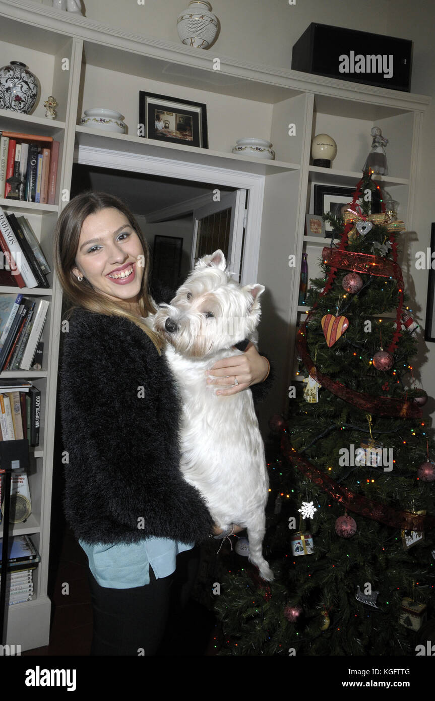 Weihnachten ein junges Mädchen mit ihrem Hund Stockfoto