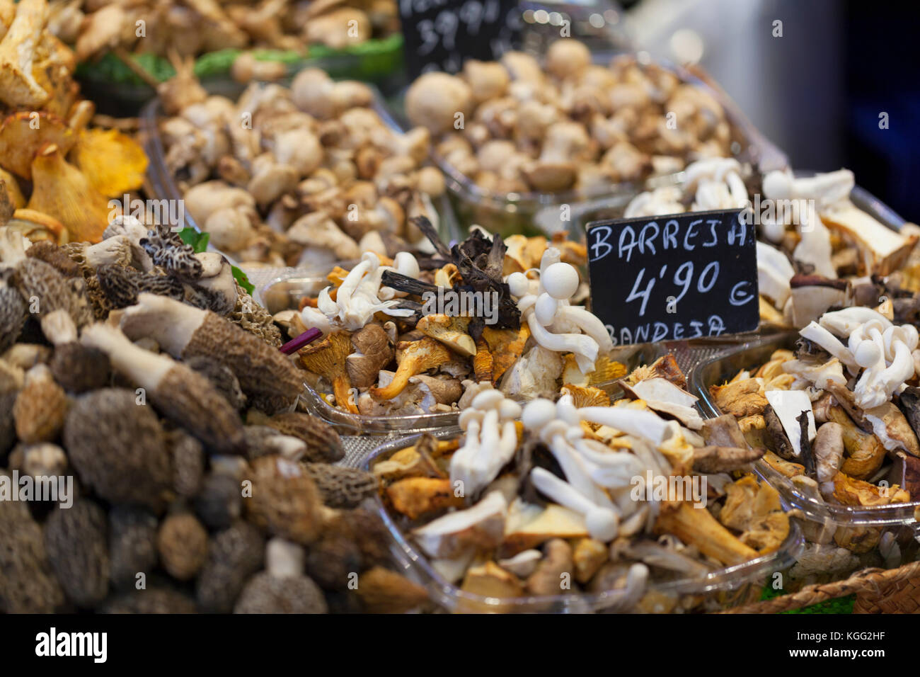 Spanien, Barcelona, La Boqueria Markt ausgeht, Pilze zu verkaufen. Stockfoto