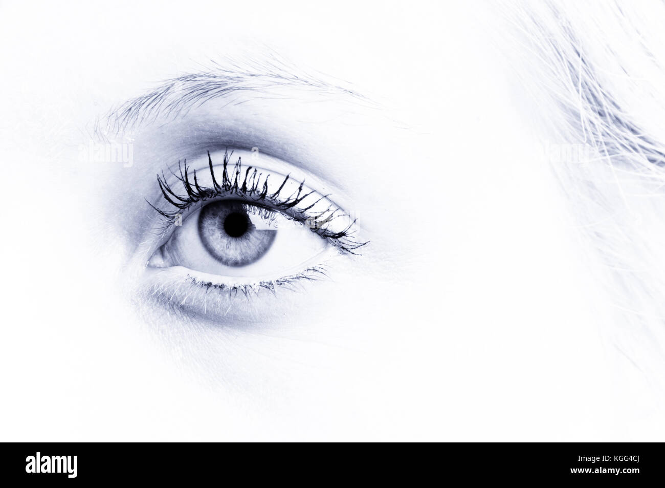 Weibliche Auge closeup Stockfoto