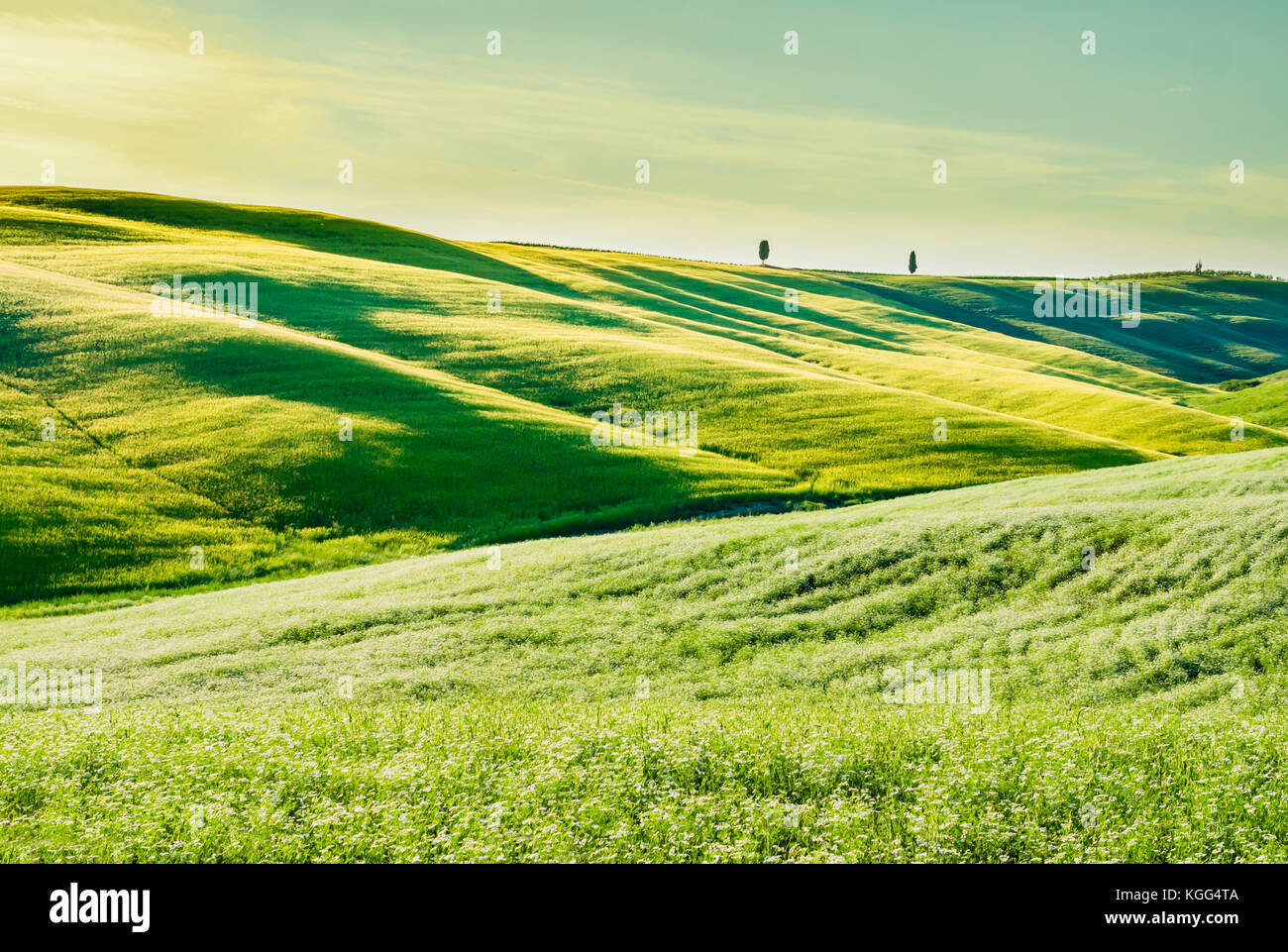Atemberaubende toskanische Landschaft, mit grünem Gras und sanften Hügeln Stockfoto