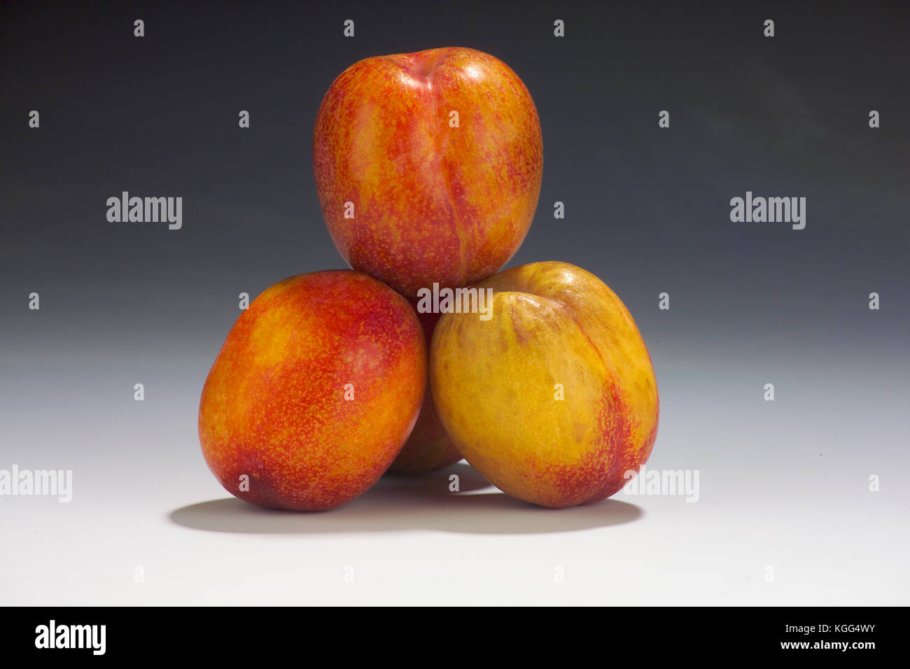 EXPLOSIVE GESCHMACK PLUOTS IM STUDIO Stockfoto