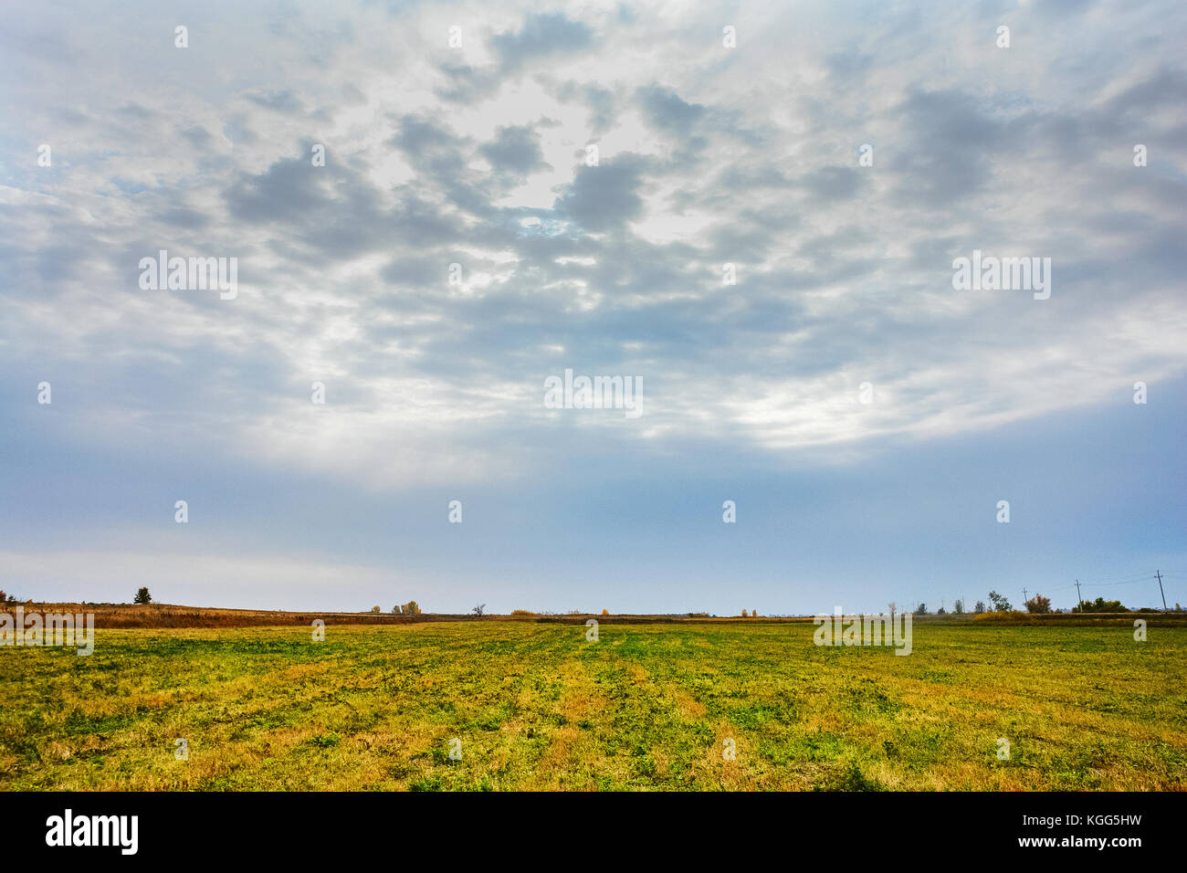 Bewölkter Himmel über dem Feld Stockfoto