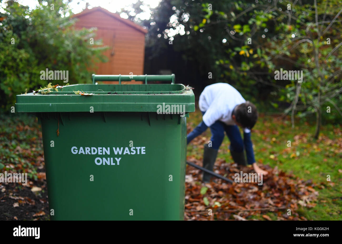 Löschen der Garten Laub vom Herbst und Recycling im grünen Garten Abfalleimer für Kompost. Stockfoto