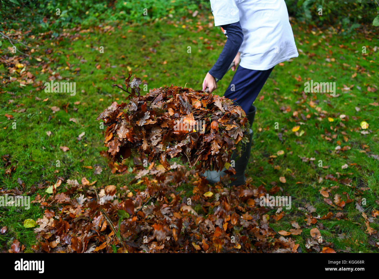 Löschen der Garten Laub vom Herbst und Recycling im grünen Garten Abfalleimer für Kompost. Stockfoto