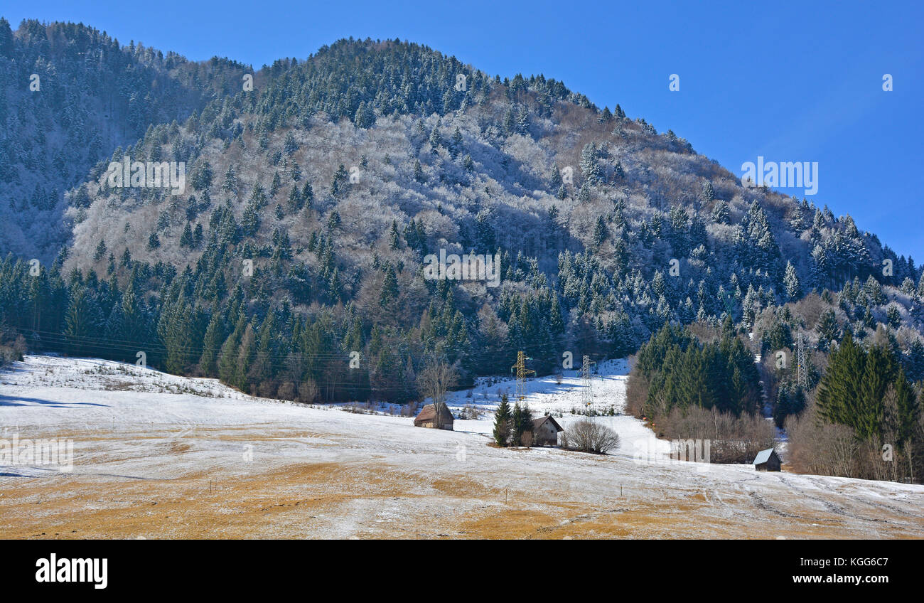 Ein Abstauben des Schnees auf den Hügeln ausserhalb der Nordosten italienischen Dorf valbruna in Friaul Julisch Venetien Stockfoto