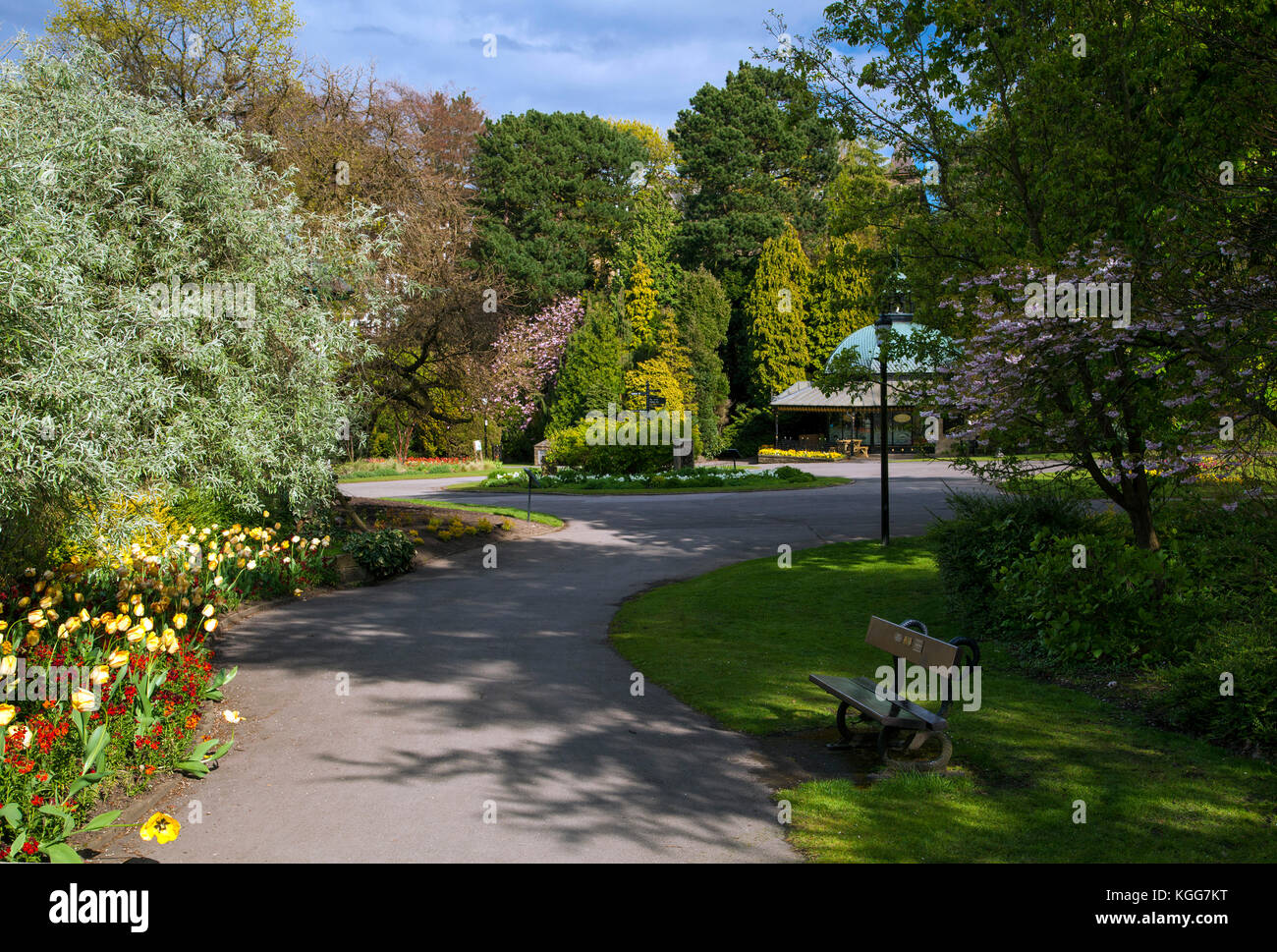 Valley Gardens Harrogate, North Yorkshire Stockfoto