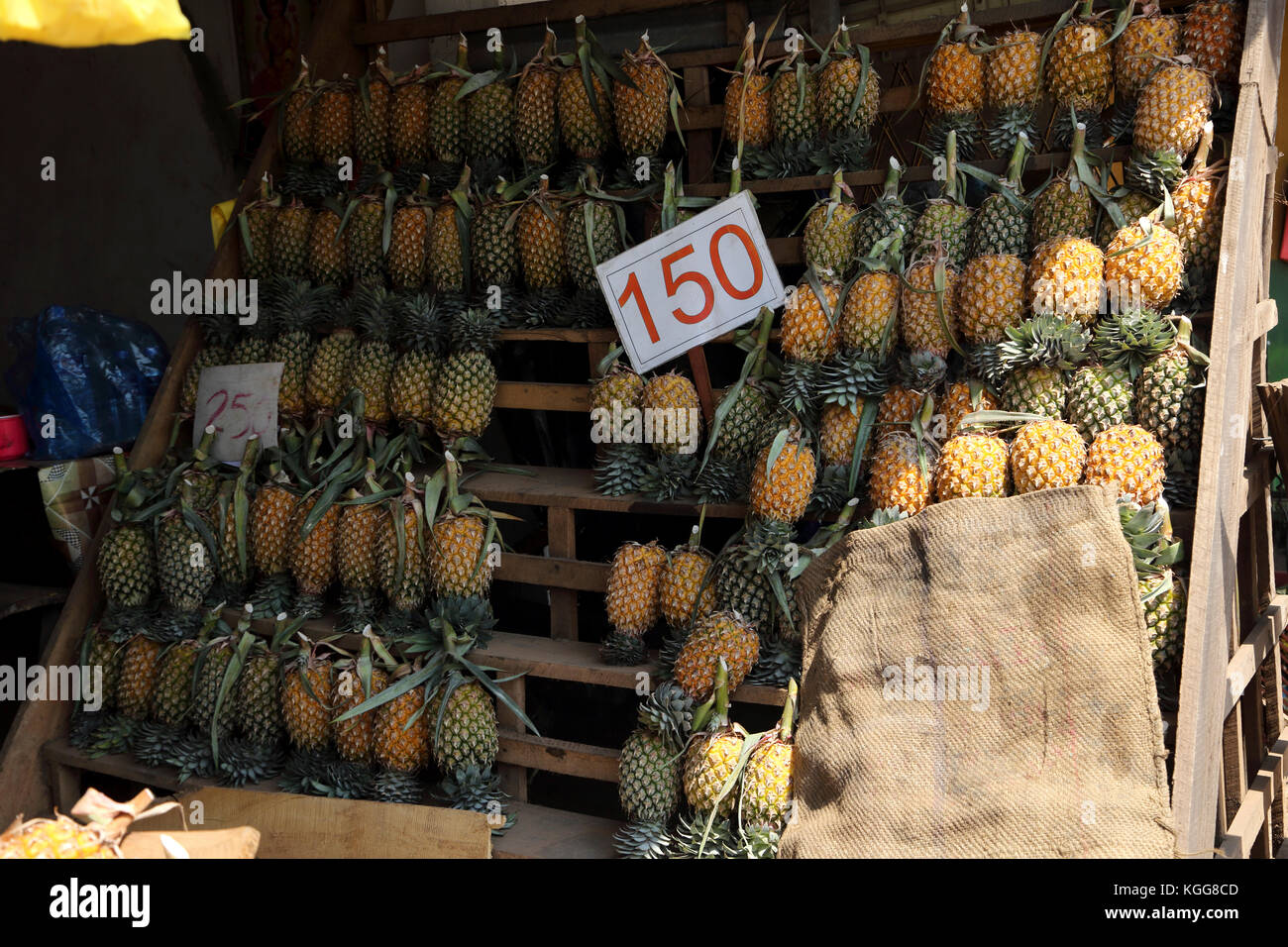 North Western Provinz Sri Lanka Ananas Stände Stockfoto