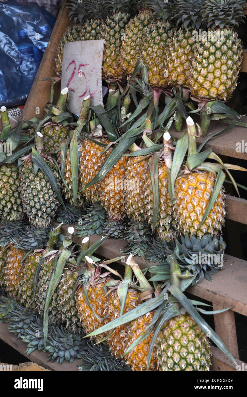 North Western Provinz Sri Lanka Ananas Abschaltdruck Stockfoto