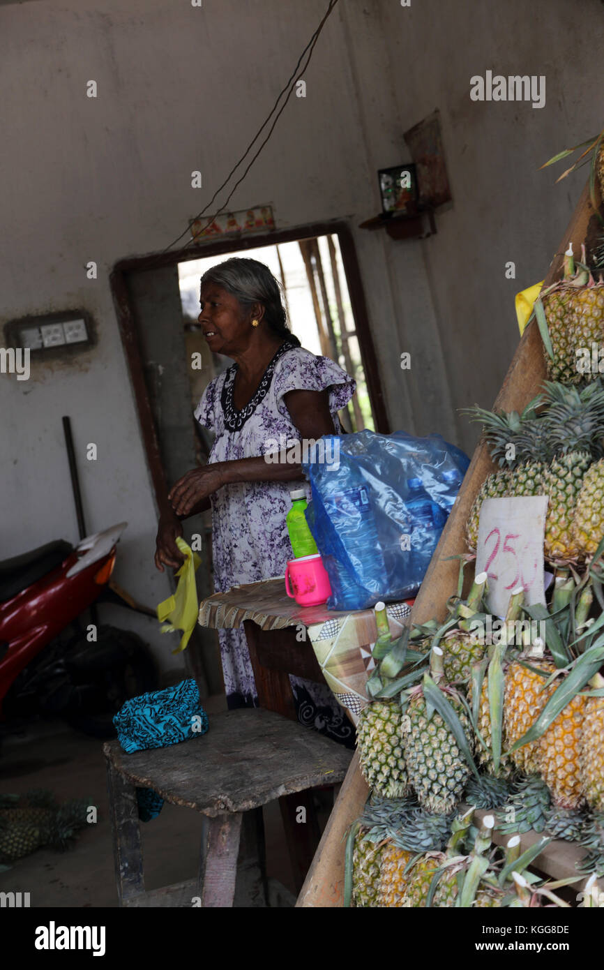 North Western Provinz Sri Lanka Frau verkaufen Ananas Stockfoto