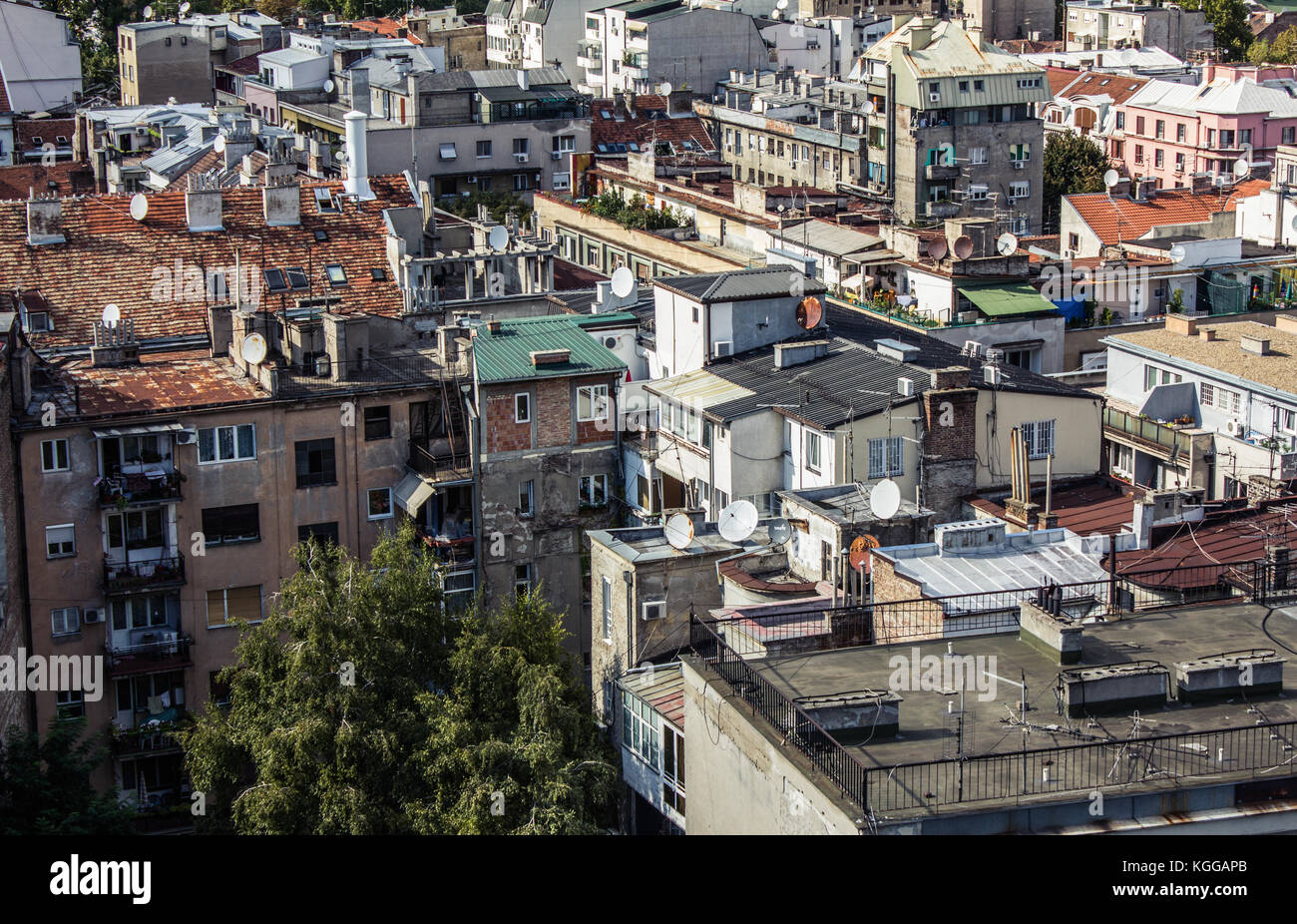 Dichten urbanen Dschungel im Stadtzentrum von Belgrad, Serbien Stockfoto