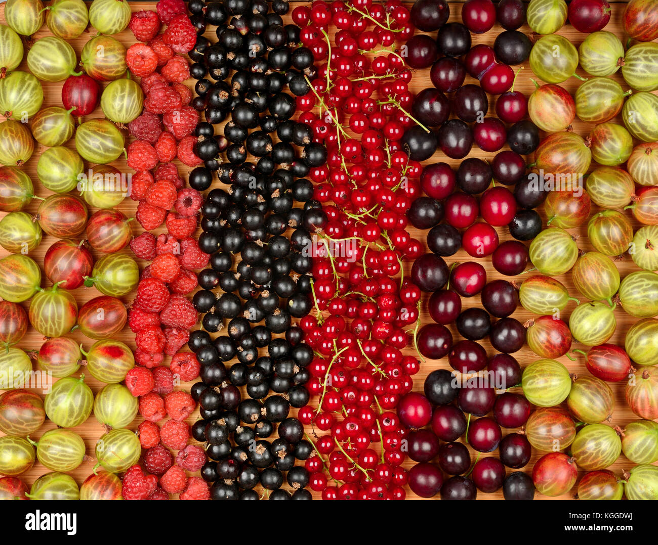 Sammlung von verschiedenen Früchten (Johannisbeeren, Stachelbeeren, Himbeeren, Pflaumen). Obst Hintergrund. Ansicht von oben. Stockfoto