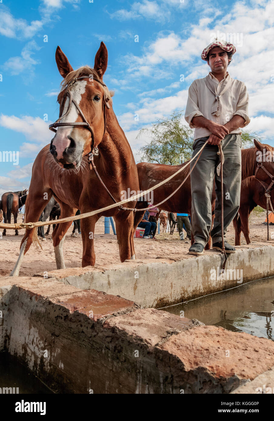 Gaucho mit Pferden, vallecito, Provinz San Juan, Argentinien Stockfoto