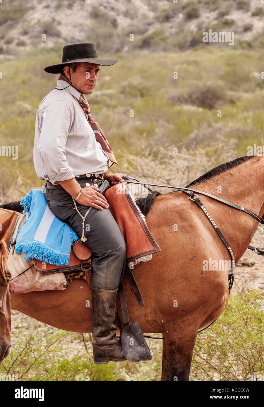 Gaucho auf seinem Pferd, vallecito, Provinz San Juan, Argentinien Stockfoto