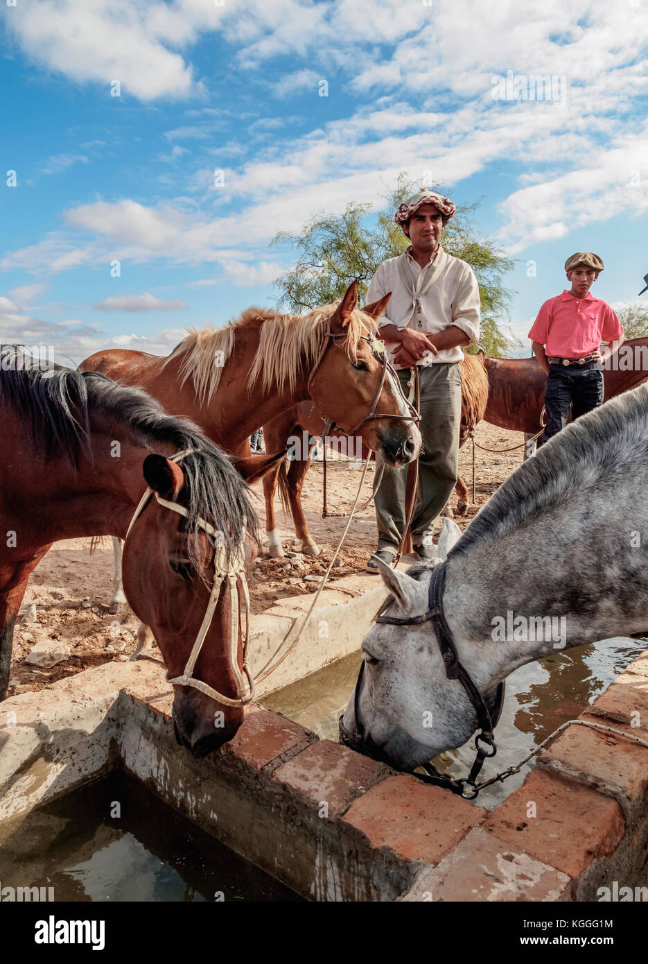 Gauchos mit Pferden, vallecito, Provinz San Juan, Argentinien Stockfoto