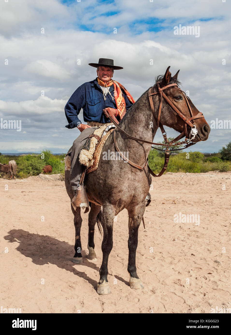 Gaucho auf seinem Pferd, vallecito, Provinz San Juan, Argentinien Stockfoto