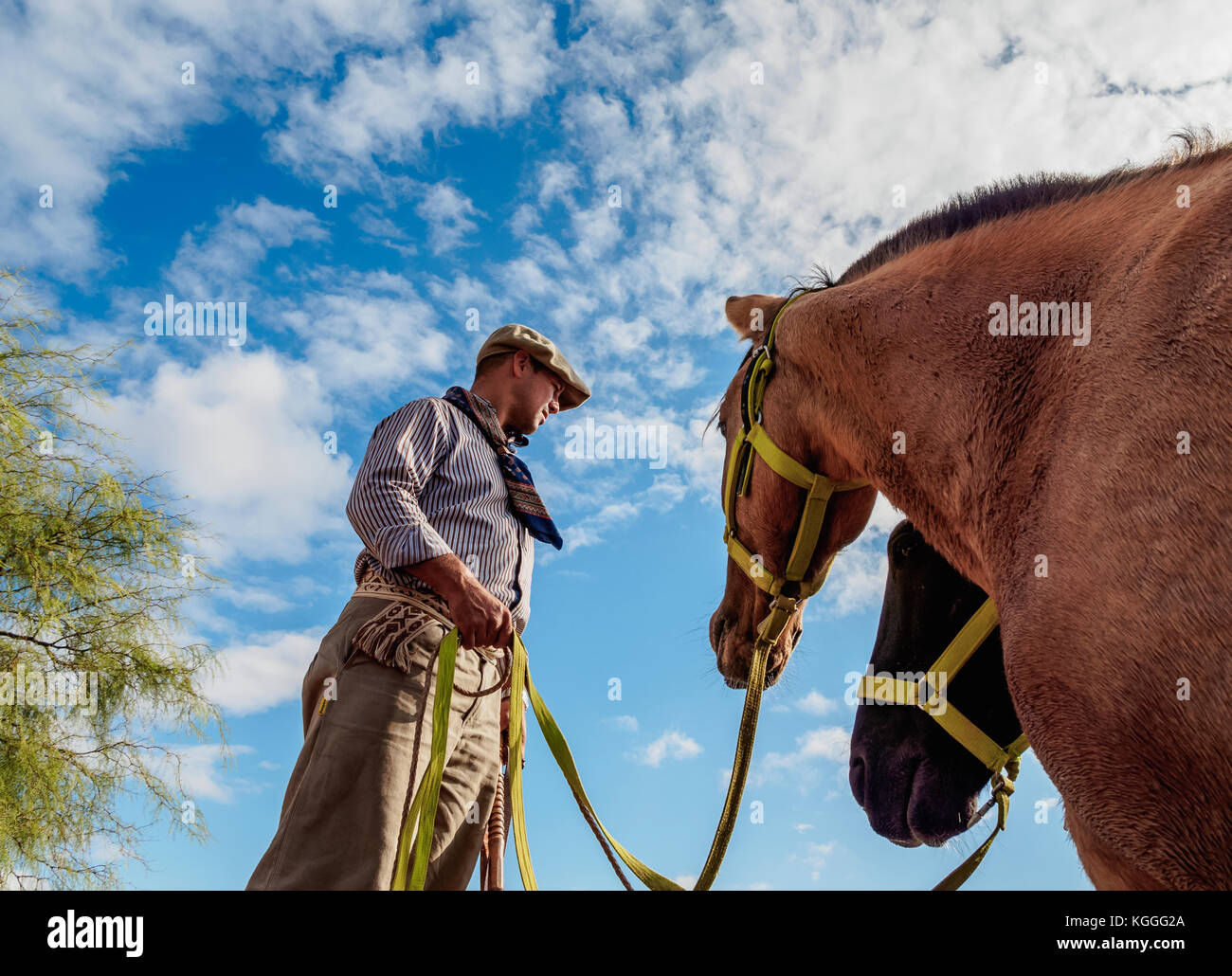 Gaucho mit Pferden, vallecito, Provinz San Juan, Argentinien Stockfoto