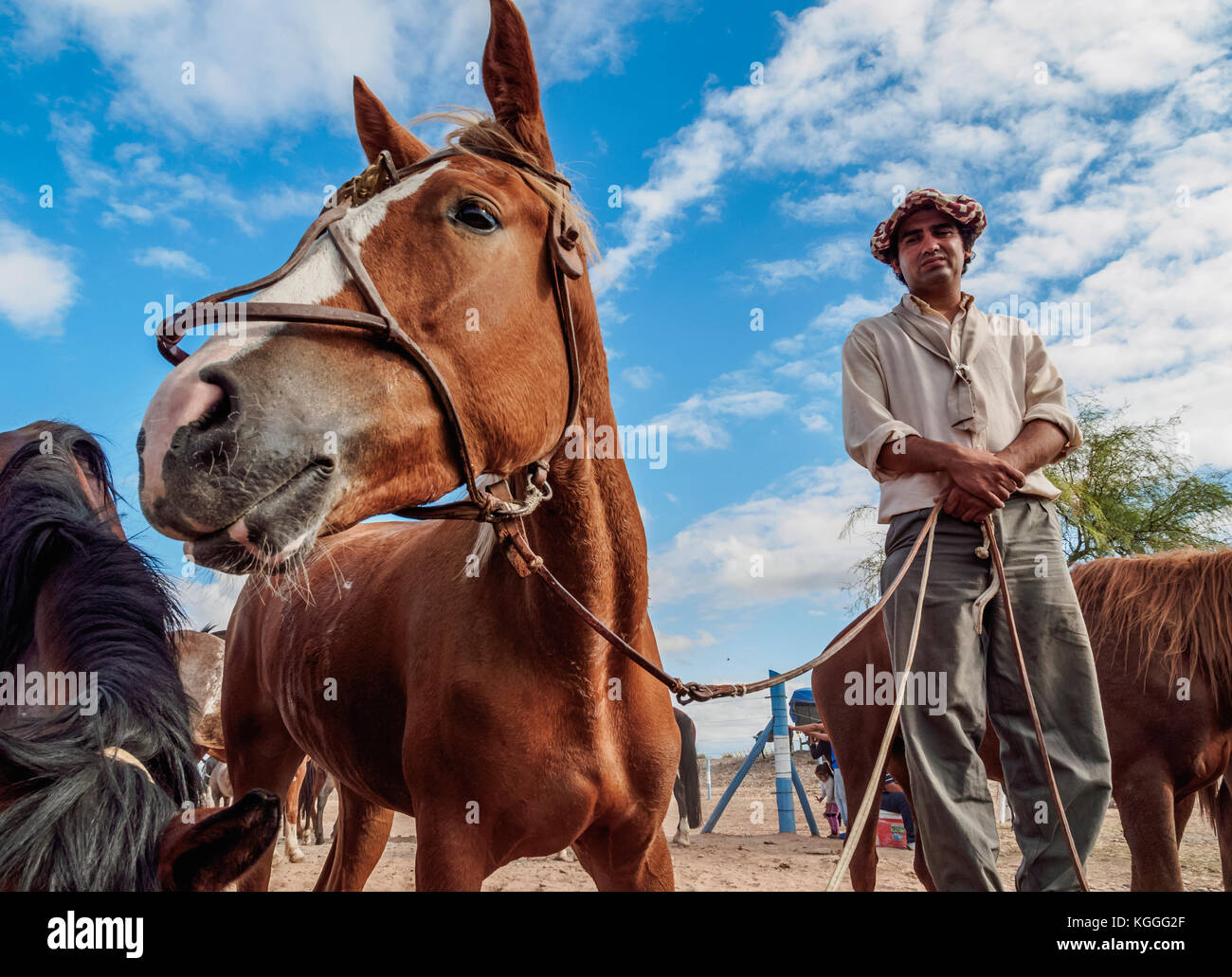 Gaucho mit Pferden, vallecito, Provinz San Juan, Argentinien Stockfoto