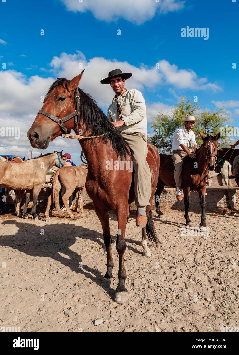 Gauchos mit Pferden, vallecito, Provinz San Juan, Argentinien Stockfoto